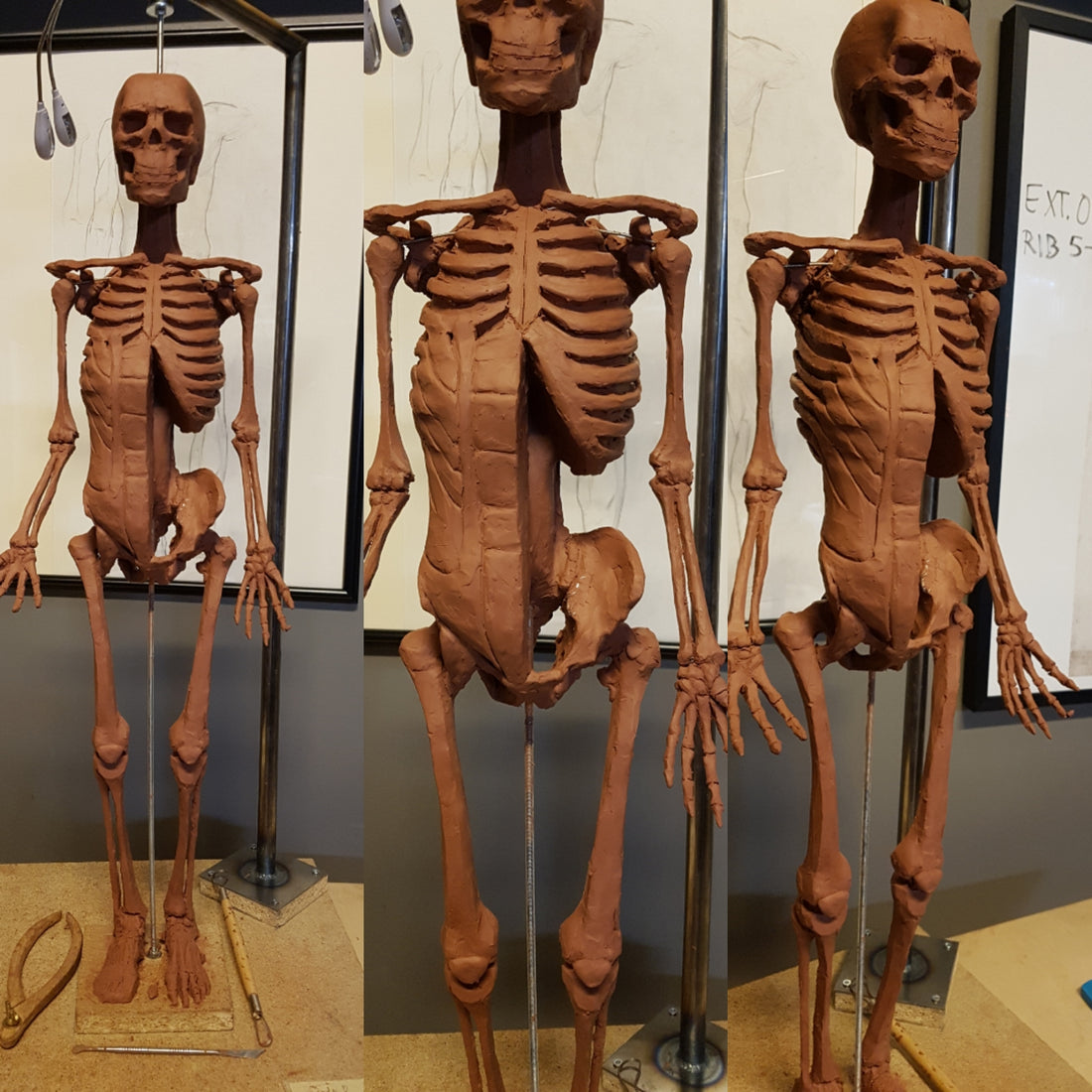 Evening Classes_Anatomy_20180130_t05w03